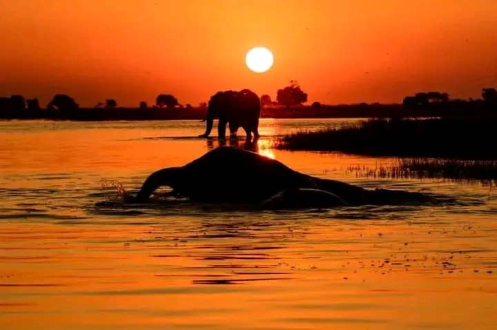 Victoria Falls at golden hour